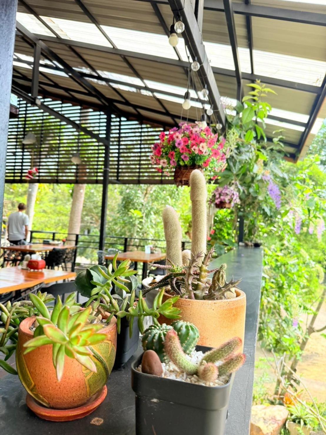 Baan Suan Hill Resort Banthakhun Kültér fotó