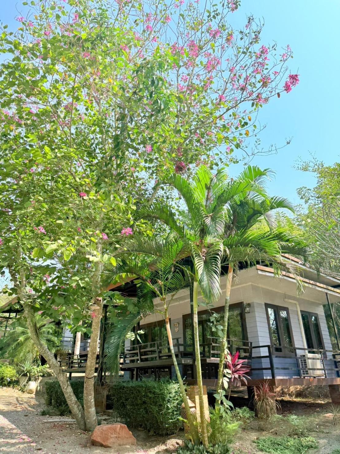 Baan Suan Hill Resort Banthakhun Kültér fotó